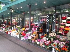 fiori