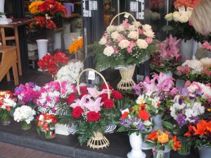 fiori1