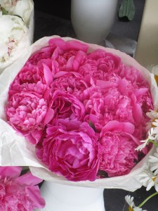 fiori2
