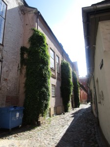 varie33
