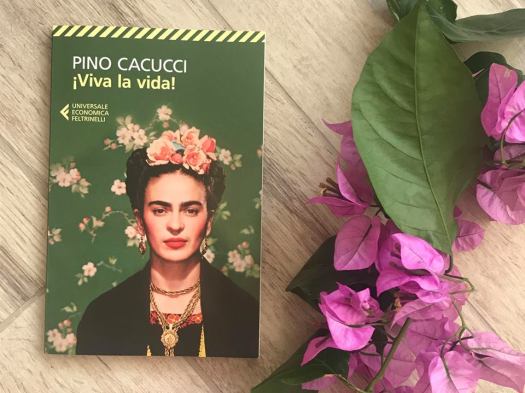 40680705_269564580351206_6211567525235261440_n